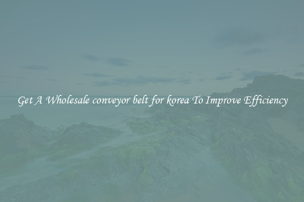 Get A Wholesale conveyor belt for korea To Improve Efficiency