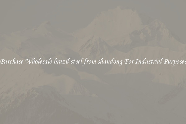 Purchase Wholesale brazil steel from shandong For Industrial Purposes