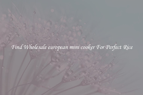 Find Wholesale european mini cooker For Perfect Rice
