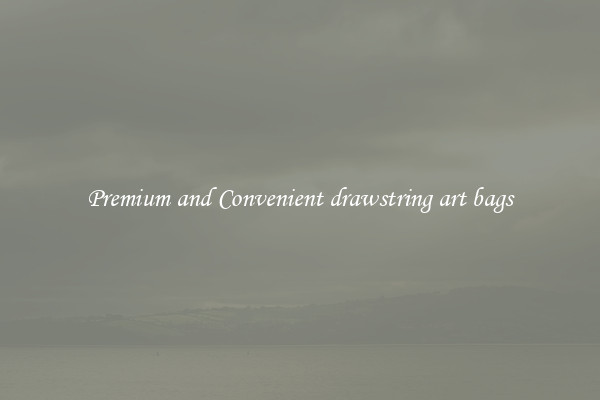 Premium and Convenient drawstring art bags