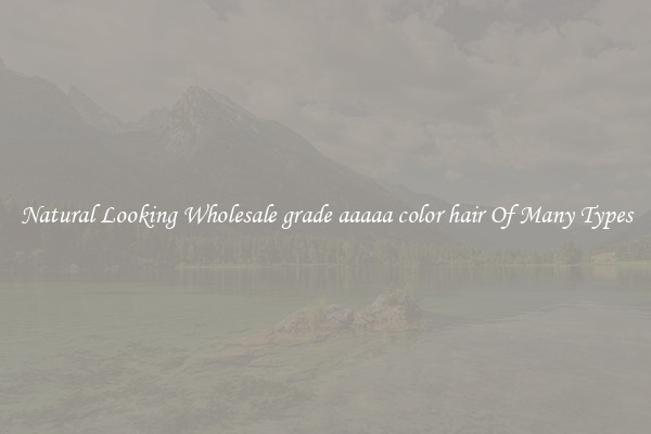 Natural Looking Wholesale grade aaaaa color hair Of Many Types
