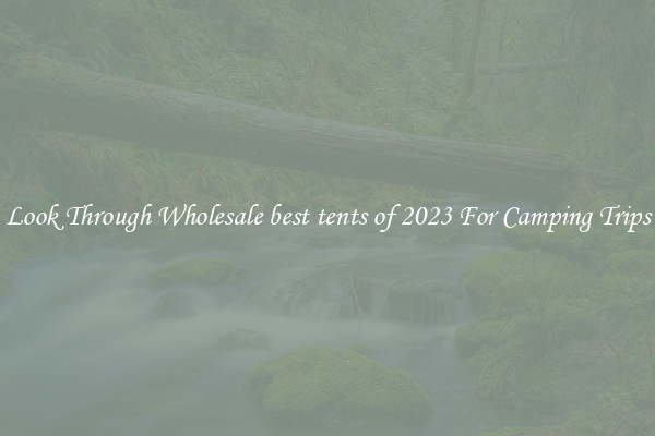 Look Through Wholesale best tents of 2023 For Camping Trips