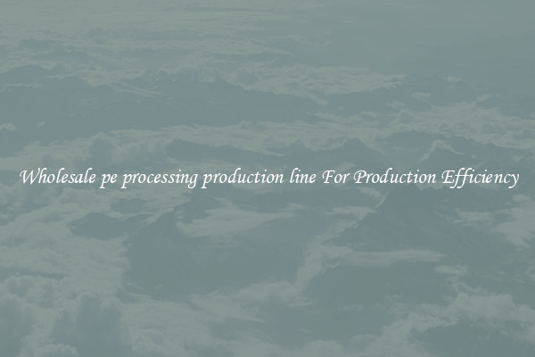 Wholesale pe processing production line For Production Efficiency
