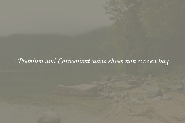 Premium and Convenient wine shoes non woven bag