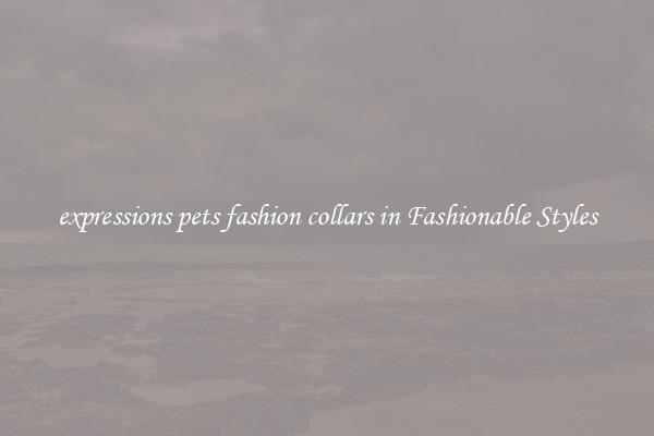 expressions pets fashion collars in Fashionable Styles