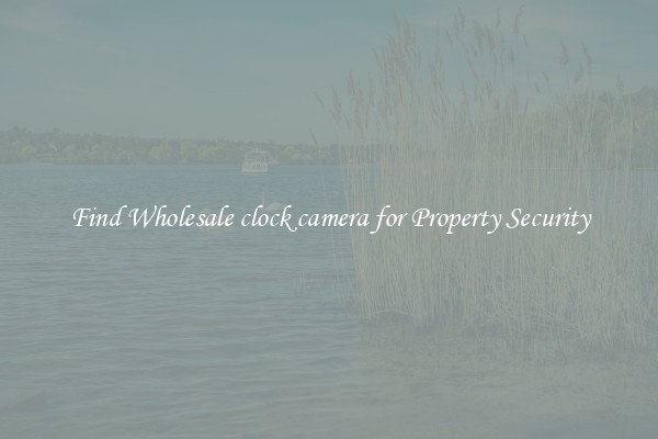 Find Wholesale clock camera for Property Security