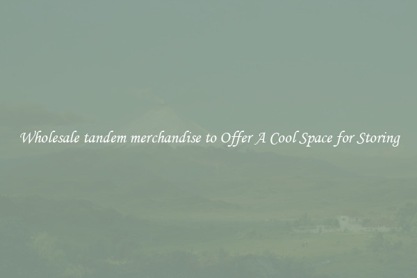 Wholesale tandem merchandise to Offer A Cool Space for Storing