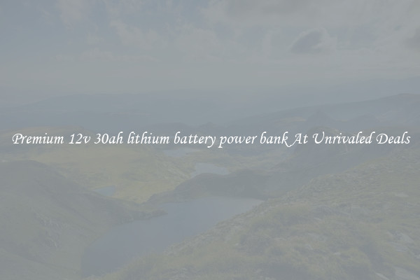 Premium 12v 30ah lithium battery power bank At Unrivaled Deals