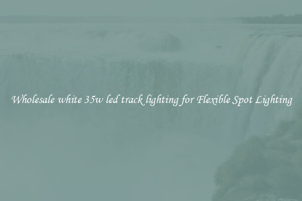 Wholesale white 35w led track lighting for Flexible Spot Lighting