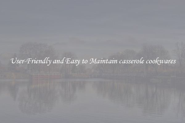 User-Friendly and Easy to Maintain casserole cookwares