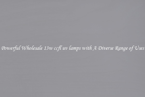 Powerful Wholesale 13w ccfl uv lamps with A Diverse Range of Uses