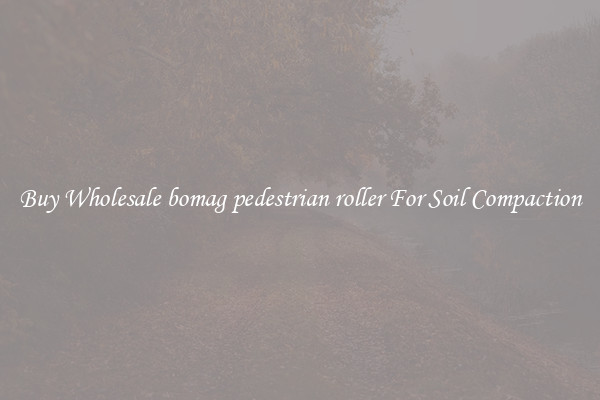 Buy Wholesale bomag pedestrian roller For Soil Compaction