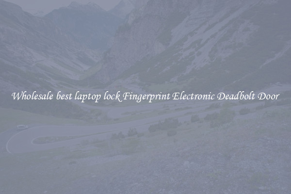 Wholesale best laptop lock Fingerprint Electronic Deadbolt Door 