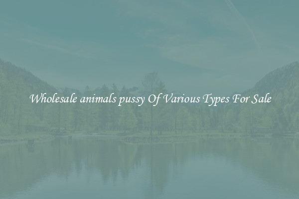 Wholesale animals pussy Of Various Types For Sale
