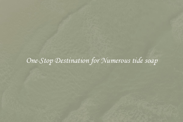 One-Stop Destination for Numerous tide soap