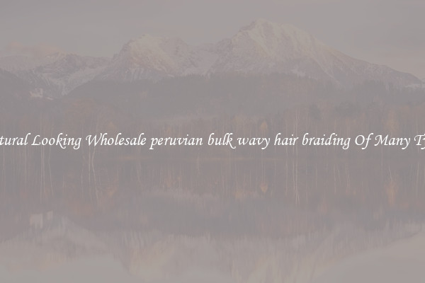 Natural Looking Wholesale peruvian bulk wavy hair braiding Of Many Types