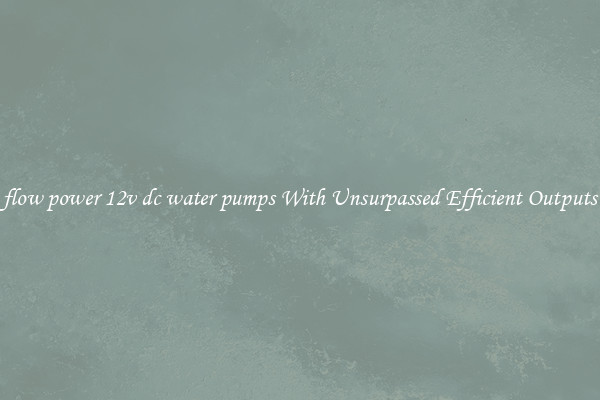 flow power 12v dc water pumps With Unsurpassed Efficient Outputs