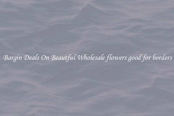Bargin Deals On Beautful Wholesale flowers good for borders