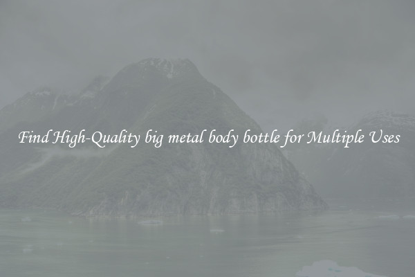 Find High-Quality big metal body bottle for Multiple Uses