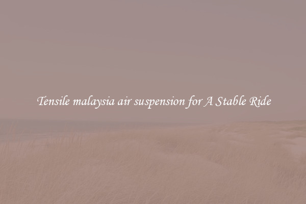 Tensile malaysia air suspension for A Stable Ride