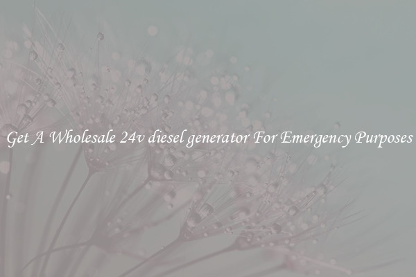 Get A Wholesale 24v diesel generator For Emergency Purposes