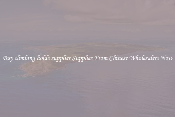 Buy climbing holds supplier Supplies From Chinese Wholesalers Now
