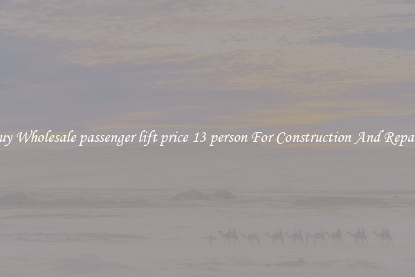 Buy Wholesale passenger lift price 13 person For Construction And Repairs