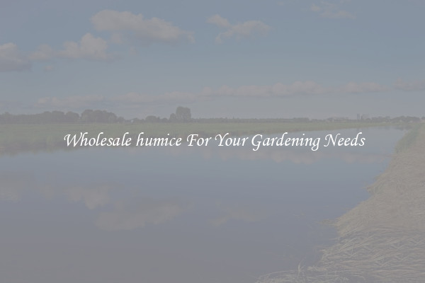 Wholesale humice For Your Gardening Needs